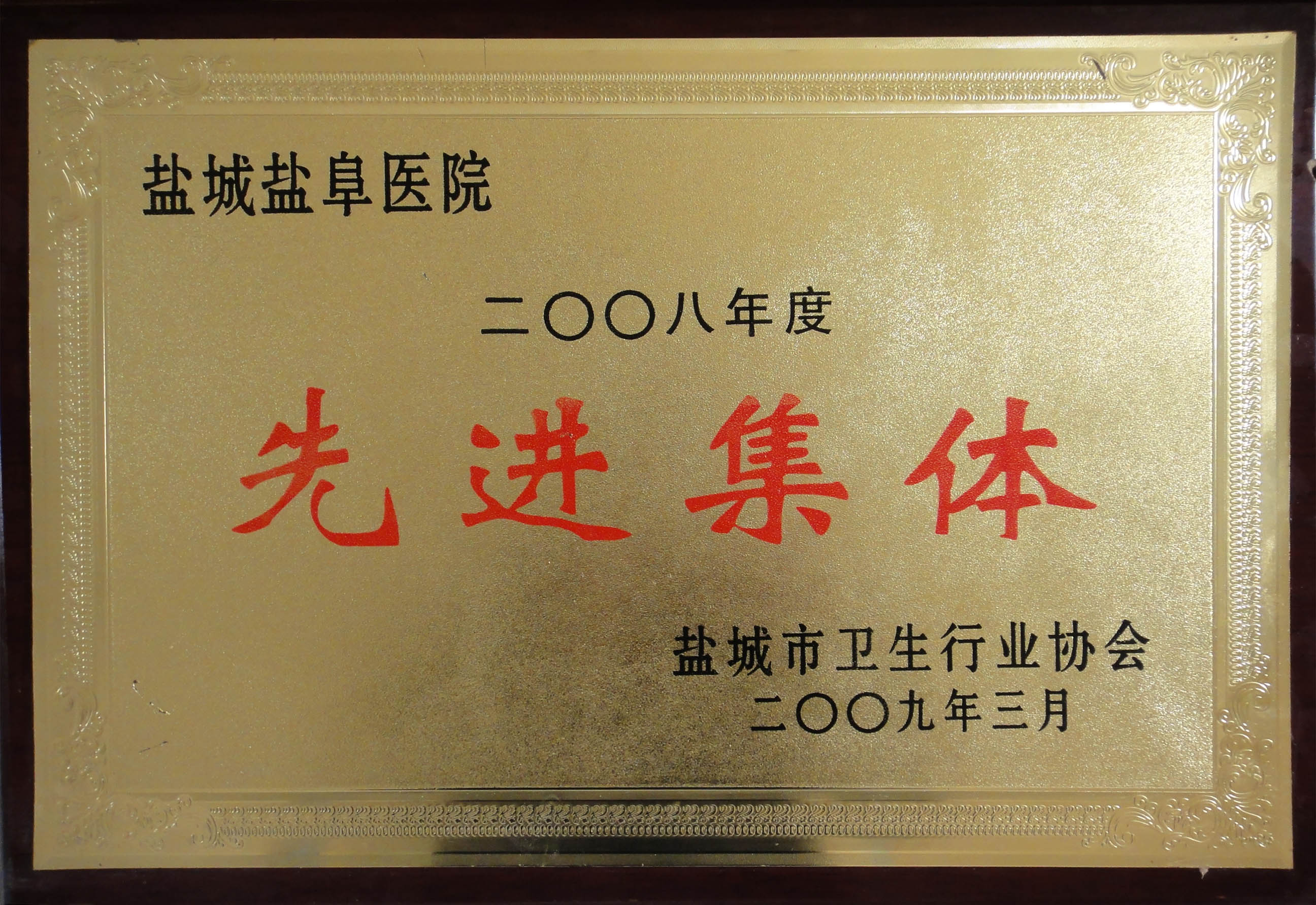 2008年度鹽城市衛生行業先進集體