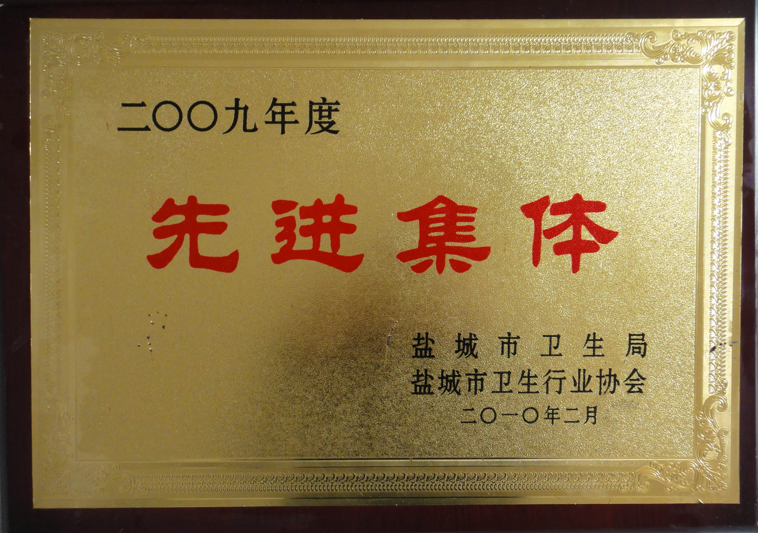 2009年度鹽城市衛生行業先進集體